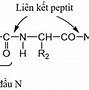 Chất Đạm Protein Trong Nước Mắm Có Nguồn Gốc Từ