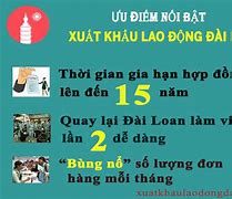 Lương Cơ Bản Của Xkld Đài Loan