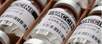 Vaccine Vietnam Tên Gì Đẹp Ở Mỹ Là Đẹp